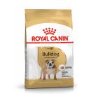 Royal Canin Bulldog Adult 12kg