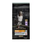 Purina Pro Plan Dog Medium-Large Adult Grain Free Sensitive Digestion Γαλοπούλα 12kg
