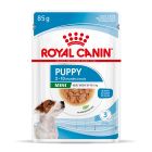 Royal Canin Mini Puppy Gravy 85gr