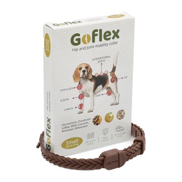 GoFlex Περιλαίμιο Σκύλου Small 39cm για Υγιείς Αρθρώσεις
