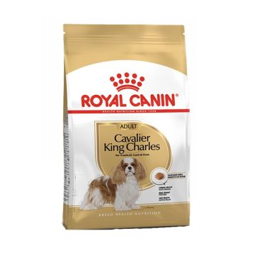 Royal Canin Cavalier King Charles Adult 1.5 kg -20%