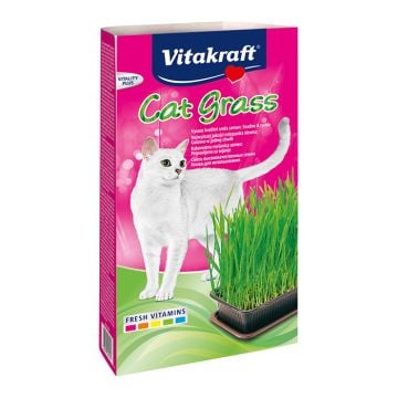 Vitakraft Cat Grass Γρασίδι Γάτας 120gr