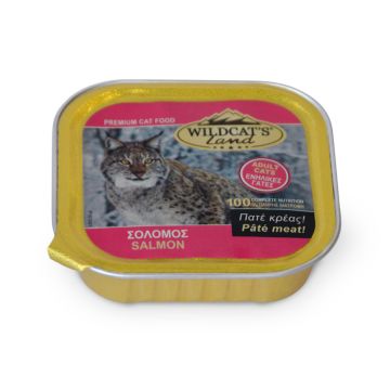 Wildcat's Allucup Adult με Σολομό 100gr