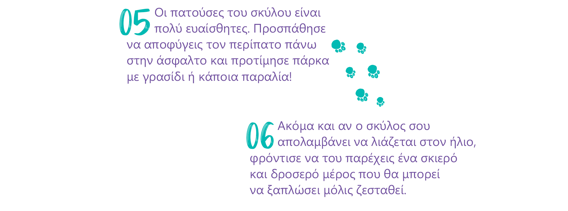 tips zestis