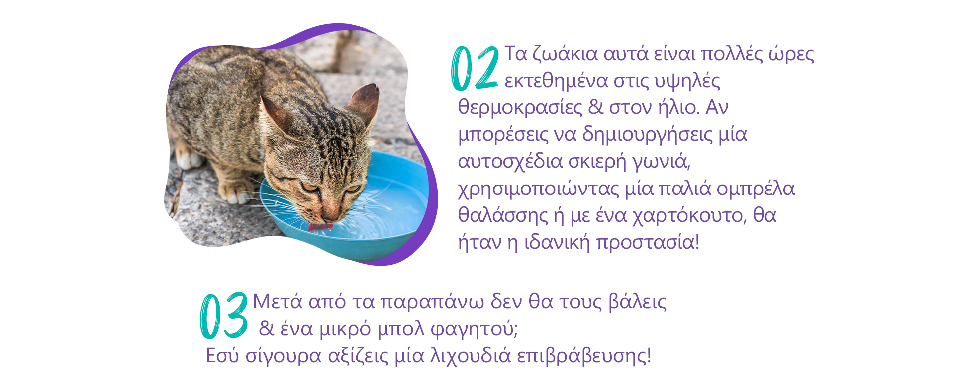 tips zestis