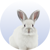 &Mu;&iota;&kappa;&rho;&omicron; &Zeta;ώ&omicron;