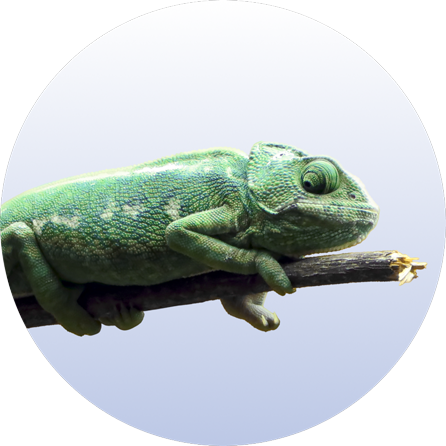 Category Menu - Erpeto Item